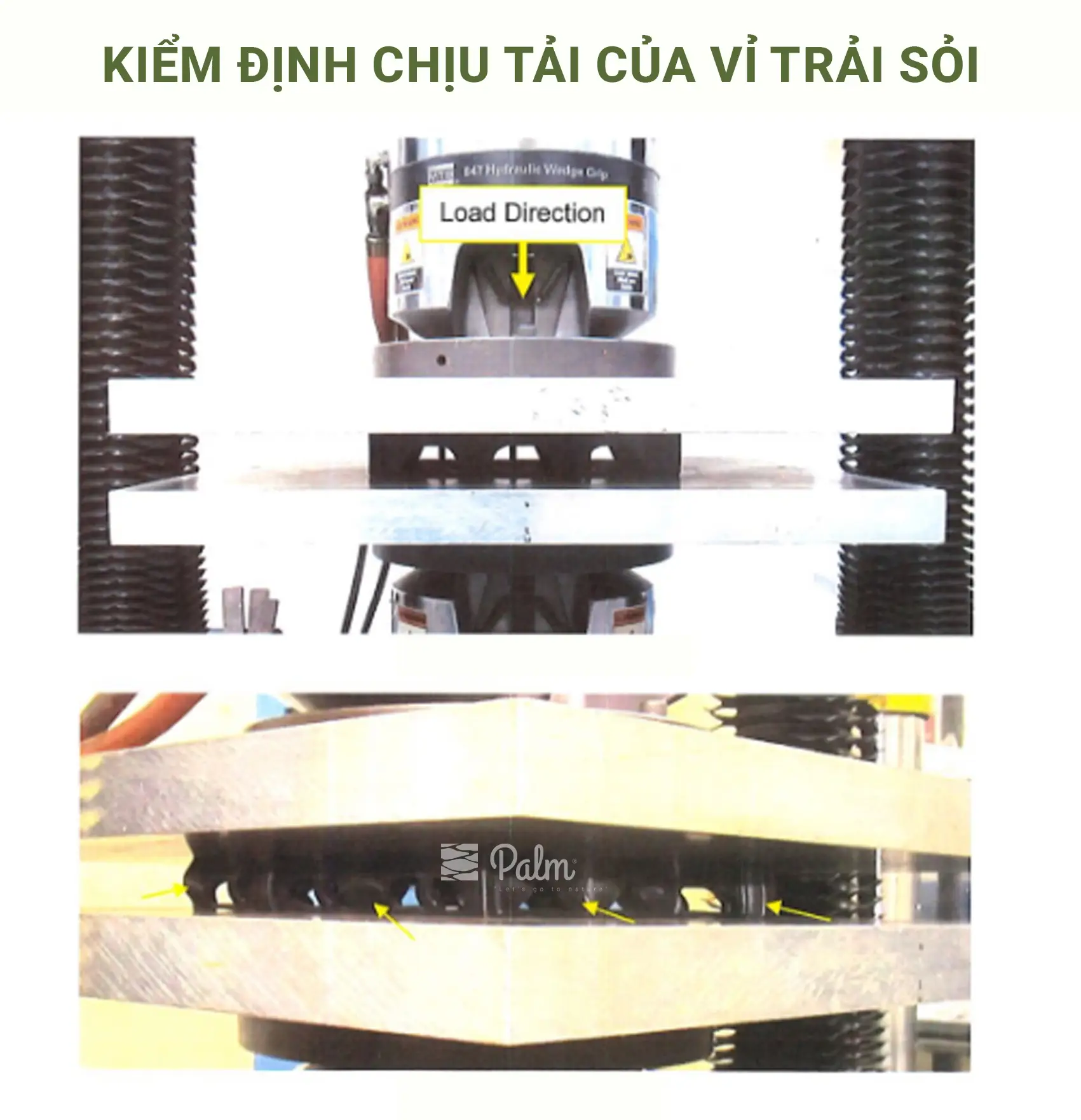 Vỉ nhựa trải sỏi bãi đậu xe | Tất tần tật về lợi ích, ứng dụng và cách lắp đặt